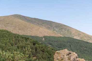 Sierra Nevada 'daki dağ manzarası, bir çam ormanı var, kaya oluşumları var, gökyüzü açık.