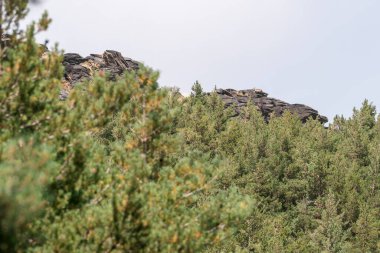 Güney İspanya 'da Sierra Nevada' da çam ormanları, çalılıklar ve kaya oluşumları var, kayaların tepesinde bir dağ keçisi var, gökyüzünde bulutlar var.