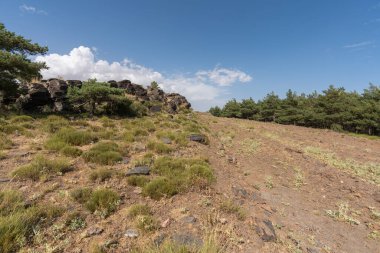Sierra Nevada 'nın dağlık arazisi, bir çam ormanı, çalılık ve çimenler, kaya var, gökyüzünde bulutlar var.