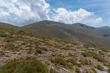 Sierra Nevada 'daki dağlık arazi, çalılar ve çimenler var, taşlar var, gökyüzü bulutlu.