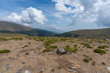 Sierra Nevada 'daki dağ manzarası, çalılar ve çimenler var, çam ormanı var, taş var, gökyüzü bulutlu.