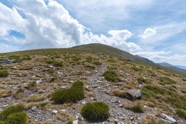 Sierra Nevada 'daki dağlık arazi, çalılar ve çimenler, taşlar ve kayalar var, gökyüzü bulutlu.