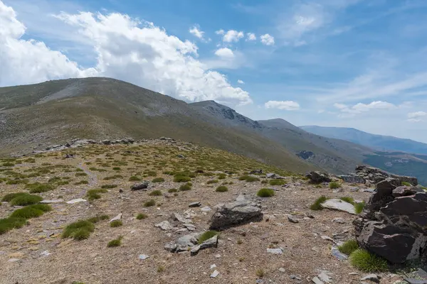 Ορεινό Τοπίο Στη Σιέρα Νεβάδα Υπάρχουν Θάμνοι Και Γρασίδι Υπάρχουν — Φωτογραφία Αρχείου