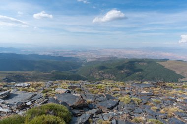 Sierra Nevada 'daki dağ manzarası, çalılar ve çimenler var, çam ormanı var, taş var, gökyüzü bulutlu.