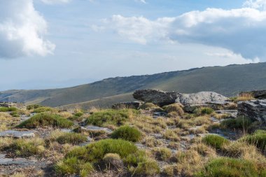 Sierra Nevada 'daki dağlık arazi, çalılar ve çimenler, taşlar ve kayalar var, gökyüzü bulutlu.