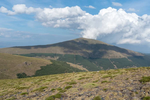 Krajobraz Górski Sierra Nevada Krzaki Trawa Jest Las Sosnowy Kamienie — Zdjęcie stockowe