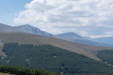 Sierra Nevada 'daki dağ manzarası, çalılar ve çimenler var, çam ormanı var, taşlar ve kayalar var, gökyüzü bulutlu