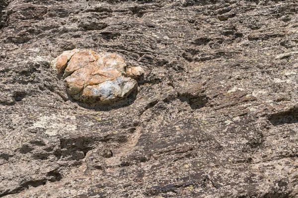 바위는 일정하지 암석으로 회색이며 표면에는 이끼가나 — 스톡 사진