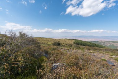 Sierra Nevada 'daki dağ manzarası, bir çam ormanı, çalılar ve çimenler, taşlar ve kayalar, gökyüzü bulutlu.