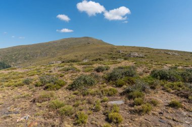 Sierra Nevada 'daki dağlık arazi, çalılar ve çimenler, taşlar ve kayalar var, gökyüzü bulutlu.