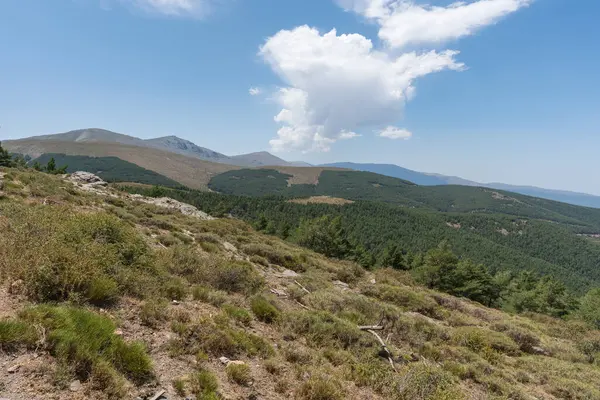Krajobraz Górski Sierra Nevada Las Sosnowy Krzaki Trawa Kamienie Niebo — Zdjęcie stockowe