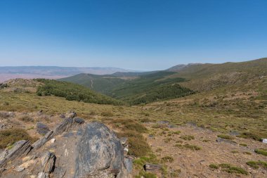 Sierra Nevada 'nın dağlık arazisi, bir çam ormanı, çalılar ve çimenler, taşlar ve kayalar var, gökyüzü açık.