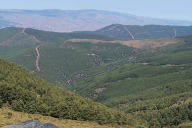 Sierra Nevada 'nın dağlık arazisi, bir çam ormanı, çalılar ve çimenler, taşlar ve kayalar var, gökyüzü açık.