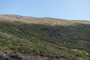 Sierra Nevada 'nın dağlık arazisi, çalılar ve çimenler var, taş ve kaya var, gökyüzü açık.