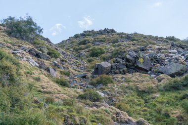 Güney İspanya 'da Sierra Nevada' da bir dağın yamacında bir vadi var, çimenler ve çalılar var, taşlar ve kayalar var, gökyüzü açık.