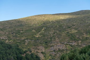 İspanya 'nın güneyindeki Sierra Nevada' daki dağ sığınağında çalılar, çimenler ve çam ormanı var. Taşlar ve kayalar var. Gökyüzü açık.