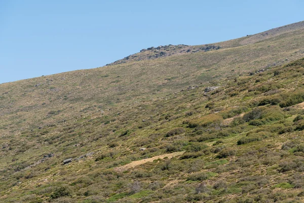 İspanya 'nın güneyindeki Sierra Nevada' nın dağlık arazisi, çalılar ve çimenler var, keçiler otluyor, kayalar var ve gökyüzü açık.