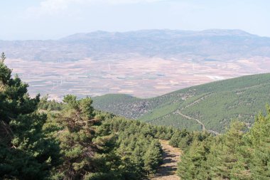 İspanya 'nın güneyindeki Sierra Nevada' da dağlık bir arazi, bir çam ormanı var, bir rüzgar çiftliği var, gökyüzünde bulutlar var