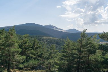 Sierra Nevada 'daki dağ manzarası, çalılar ve çimenler var, çam ormanı var, taşlar ve kayalar var, gökyüzü bulutlu