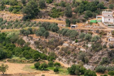 İspanya 'nın güneyindeki La Alpujarra' da tarım alanı, zeytin ve portakal ağaçları, bir çiftlik evi, çalılıklar var.