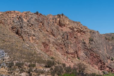 Güney İspanya 'da La Alpujarra' nın dağlık arazisi, ağaçlar ve çalılar var, gökyüzü açık.