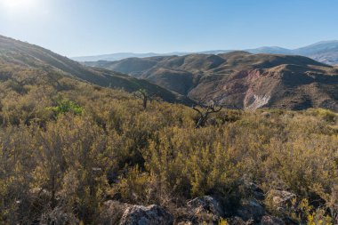 Güney İspanya 'da La Alpujarra' nın dağlık arazisi, ağaçlar ve çalılar var, gökyüzü açık.