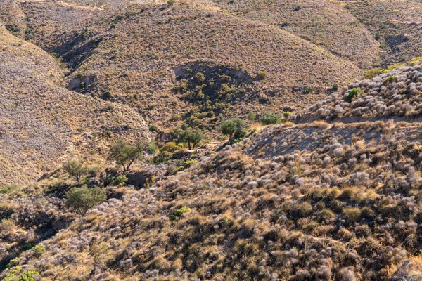 Güney İspanya 'da La Alpujarra' nın dağlık arazisi, ağaçlar ve çalılar var.,