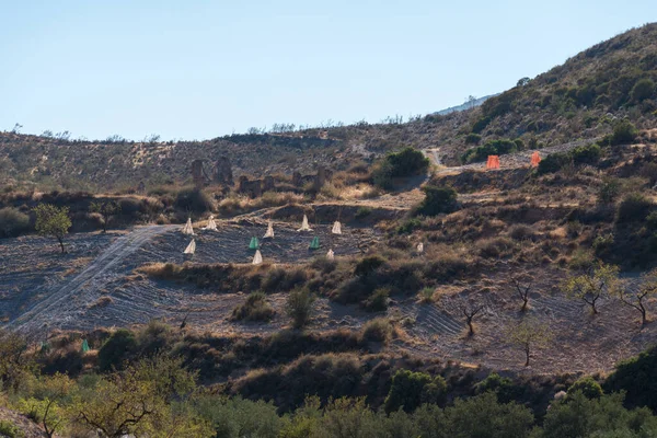 Güney İspanya 'da La Alpujarra' nın dağlık arazisi, ağaçlar ve çalılar var, gökyüzü açık.
