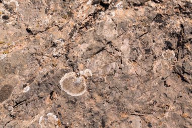 Kayaların düz olmayan yüzeyi, gri renkli kayanın yüzeyinde liken var.