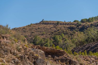 İspanya 'nın güneyindeki dağlık arazide çalılar ve ağaçlar var, gökyüzü açık.