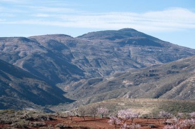 Güney İspanya 'nın dağlık arazisi. Çiçek açmış çalılar ve badem ağaçları var. Birkaç vadi var, gökyüzü bulutlu.