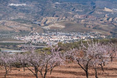 Sierra Nevada dağının yamacında bir köy. Evlerin beyaz cepheleri var. Ağaçlar ve vadi var.