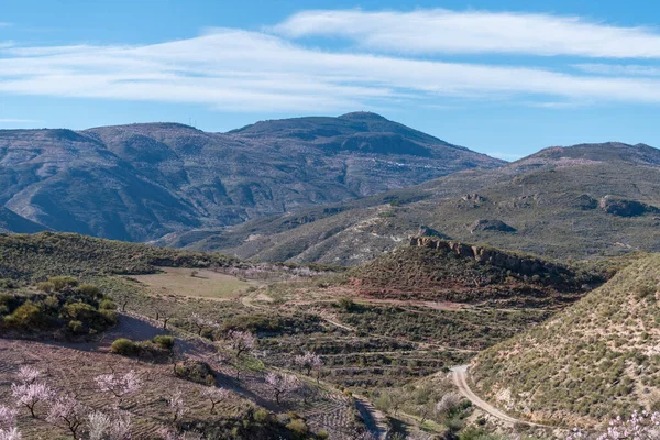 Güney İspanya 'nın dağlık arazisi. Çiçek açmış çalılar ve badem ağaçları var. Birkaç vadi var, gökyüzü bulutlu.