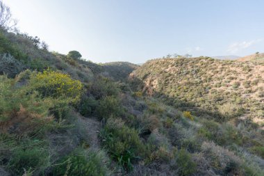 İspanya 'nın güneyindeki dağlık alanda ağaçlar ve çalılar var, bir vadi var, gökyüzü açık.