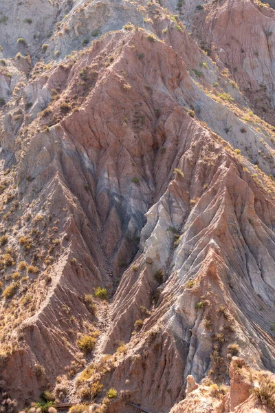 Güney İspanya 'da dağlık ve aşınmış arazi, bitki örtüsü var.