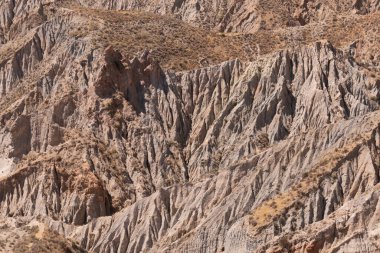 Güney İspanya 'da dağlık ve aşınmış arazi, bitki örtüsü var.