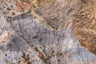 Güney İspanya 'da dağlık ve aşınmış arazi, bitki örtüsü var.