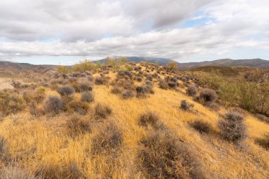 İspanya 'nın güneyindeki dağlık arazide çalılar ve gökyüzünde bulutlar var.