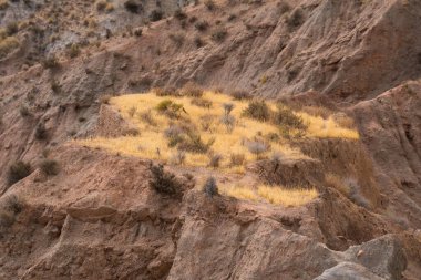 Dağlık bir bölgede kuru bitki örtüsü, kuru otlar ve çalılar var, aşınmış bir bölge.
