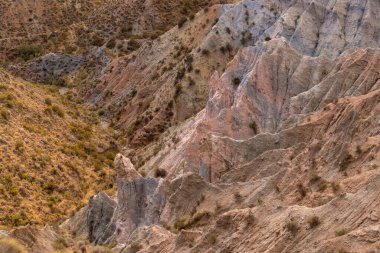 Güney İspanya 'da dağlık ve aşınmış arazi, bitki örtüsü var.