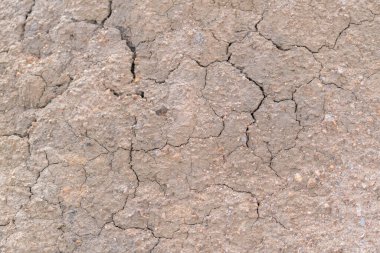 Kayaların düz olmayan yüzeyi, gri renkli kayanın yüzeyinde liken var.