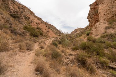 İspanya 'nın güneyindeki dağlık bölgede çalılar var, toprak aşınmış, gökyüzü bulutlu.