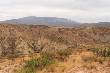 İspanya 'nın güneyindeki dağlık bölgede çalılar var, toprak aşınmış, gökyüzü bulutlu.