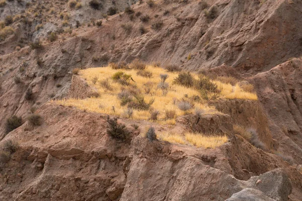 Dağlık bir bölgede kuru bitki örtüsü, kuru otlar ve çalılar var, aşınmış bir bölge.