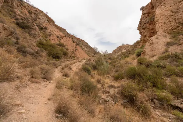 İspanya 'nın güneyindeki dağlık bölgede çalılar var, toprak aşınmış, gökyüzü bulutlu.