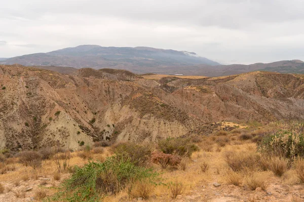 İspanya 'nın güneyindeki dağlık bölgede çalılar var, toprak aşınmış, gökyüzü bulutlu.