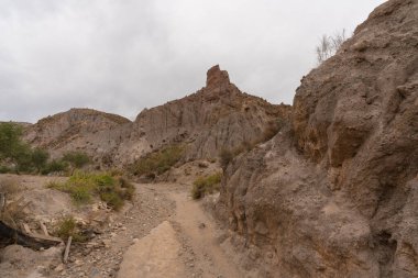 İspanya 'nın güneyindeki dağlık bir bölgede kuru bir dere, çalılar ve ağaçlar var, toprak aşınmış, gökyüzü bulutlu.