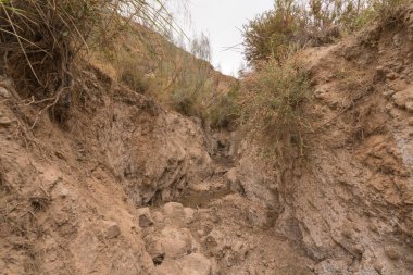 İspanya 'nın güneyindeki dağlık bir bölgede kuru bir dere, çalılar ve ağaçlar var, gökyüzü bulutlu.