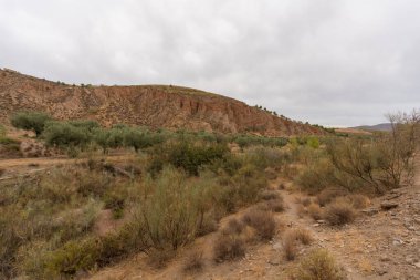 İspanya 'nın güneyindeki dağlık bölgede çalılar, ağaçlar ve kuru otlar var. Gökyüzü bulutlu.