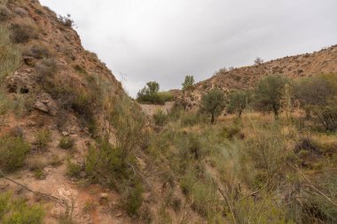 İspanya 'nın güneyindeki dağlık bölgede çalılar, ağaçlar ve kuru otlar var. Gökyüzü bulutlu.
